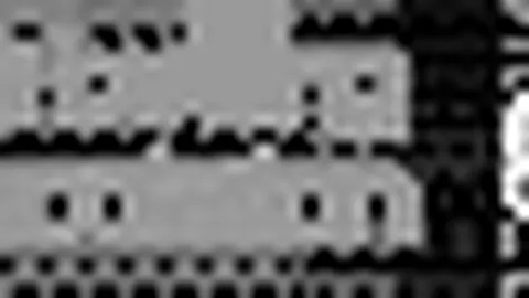 中国体育代表队巴黎奥运盛宴精彩瞬间盘点