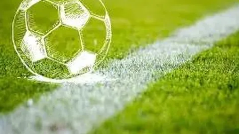 张正伟力挽肘伤，泳坛世界杯再展雄风，争金夺银